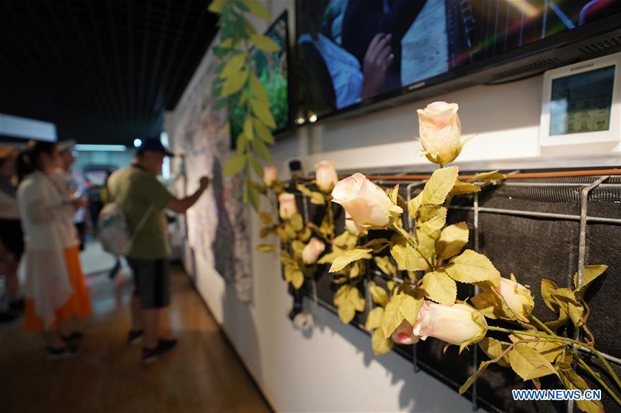 CHINA-BEIJING-HORTICULTURAL EXPO-FRANCE DAY (CN)