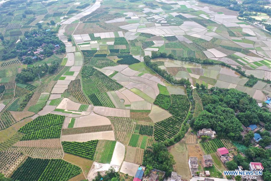 CHINA-GUANGXI-FARMLAND SCENERY (CN)