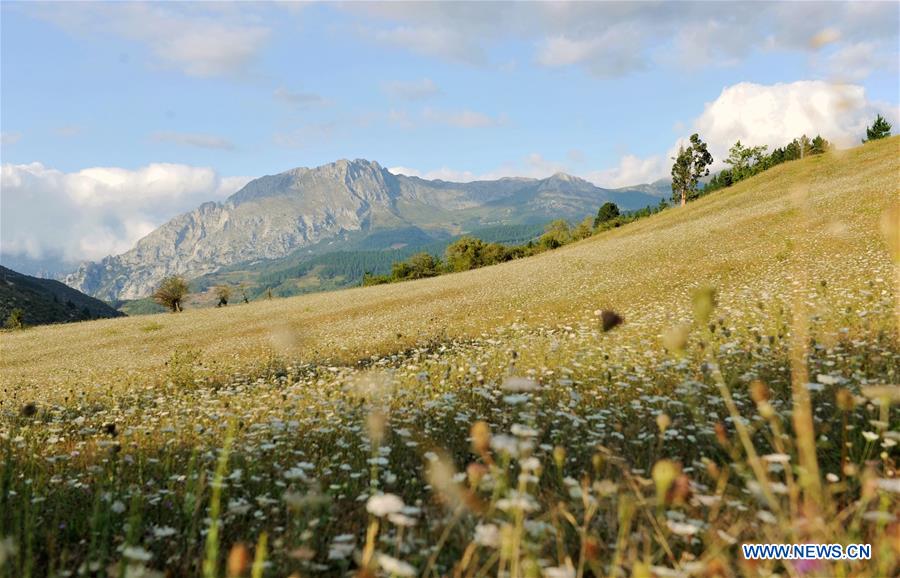 SPAIN-PICOS DE EUROPA NATIONAL PARK-SCENERY