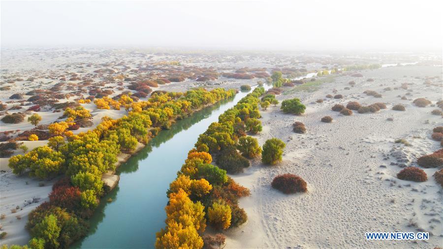 (EcoChina)CHINA-HORTICULTURAL EXPO-XINJIANG (CN)