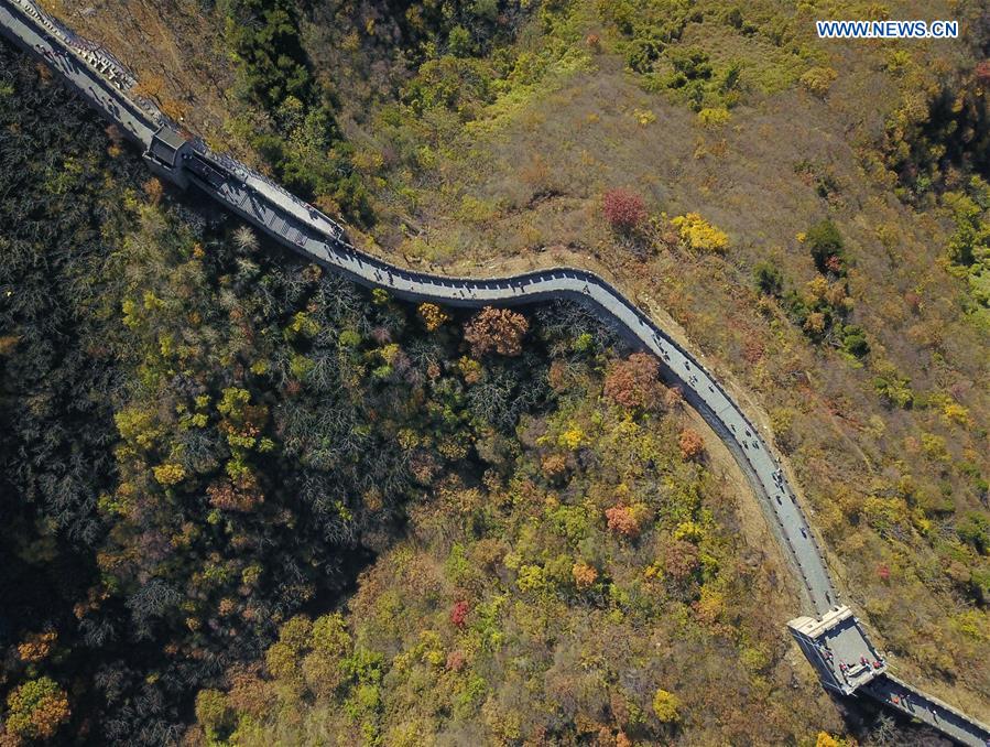 CHINA-BEIJING-GREAT WALL-AUTUMN SCENERY (CN)