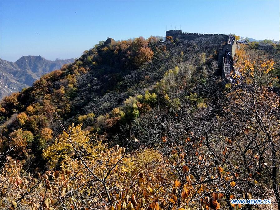 (BeijingCandid)CHINA-BEIJING-AUTUMN (CN)