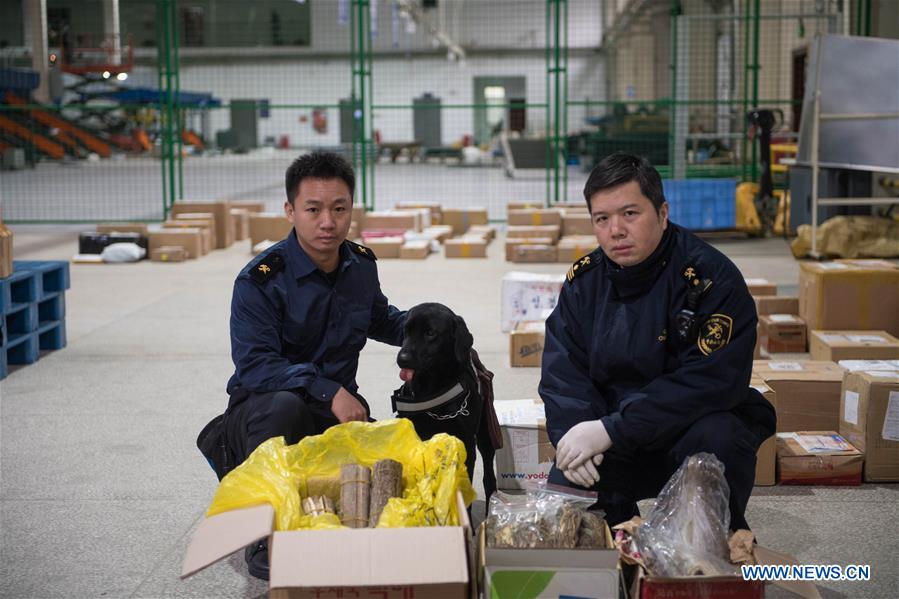 CHINA-HUNAN-CHANGSHA-SNIFFER DOG (CN)