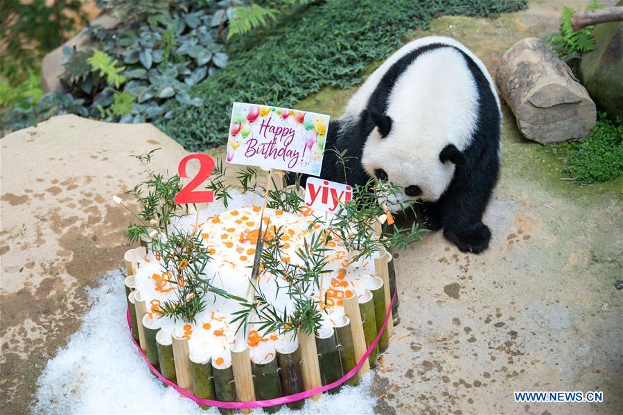 MALAYSIA-KUALA LUMPUR-GIANT PANDA-BIRTHDAY