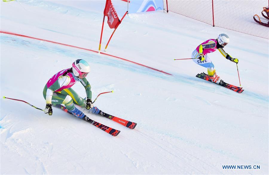 (SP)SWITZERLAND-LES DIABLERETS-WINTER YOG-ALPINE SKIING-PARALLEL MIXED TEAM