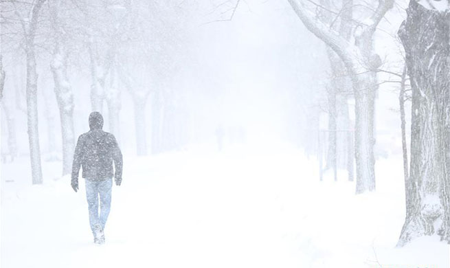 Snowfall hits Bucharest, Romania