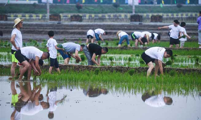 People compete in rice transplanting game in E China