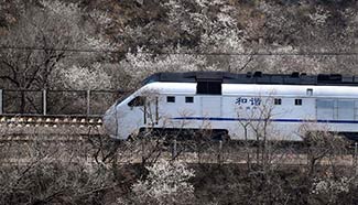 Train runs amid flowers near Juyongguan Pass in Beijing