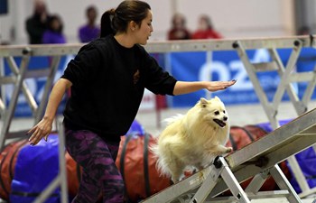 Portuguese Pet Show in photos