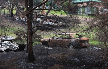 Aftermath of bushfire in town of Mogo, Australia