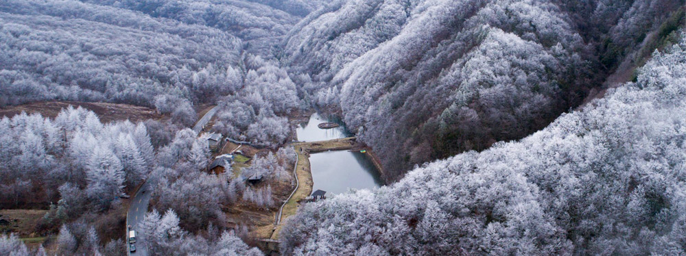 雪落神農架