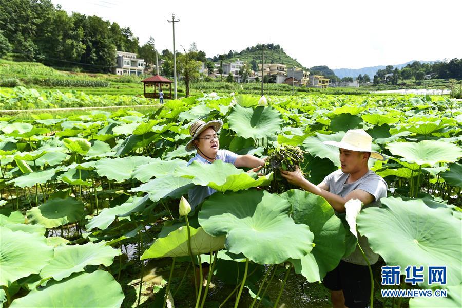 （新華全媒頭條·圖文互動）（4）咱們村里的年輕人——記奮戰在貴州脫貧攻堅一線的青年