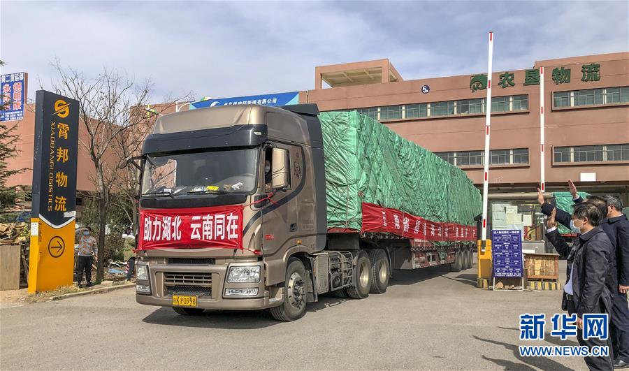 （圖文互動）（3）青青園中葵 朝露待日晞——云南組織蔬菜等農產品支援湖北記略