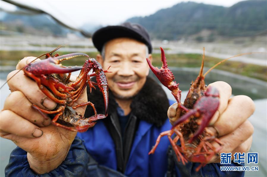 （決戰決勝脫貧攻堅·圖文互動）（7）多重保障 不漏一人——貴州一個脫貧“摘帽”縣的防貧機制探索