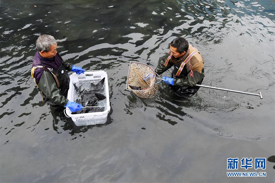 （決戰決勝脫貧攻堅·圖文互動）（6）多重保障 不漏一人——貴州一個脫貧“摘帽”縣的防貧機制探索