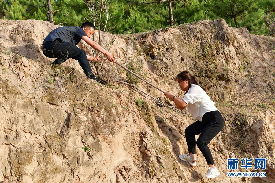 （新華全媒頭條·圖文互動）（5）黃土地上向陽花開——來自山西深度貧困地區的脫貧故事