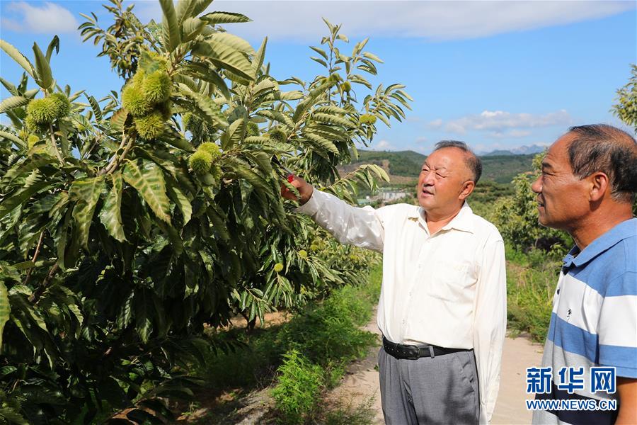 （新華全媒頭條·走向我們的小康生活·圖文互動）（11）長城腳下，小康村串成“珍珠鏈”