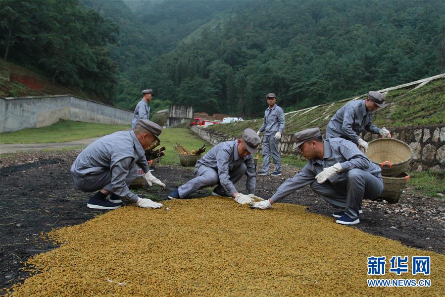 （在習近平強軍思想指引下·我們在戰位報告·圖文互動）（3）牢記統帥囑托  做刀尖上的舞者——記聯勤保障部隊某報廢武器彈藥銷毀站參謀長陳雪禮