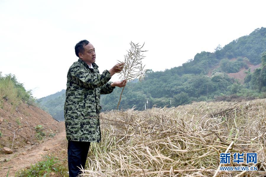 （代表委員履職·圖文互動）（1）“我是農民代表，始終關注農村”——全國人大代表沈昌健的履職故事