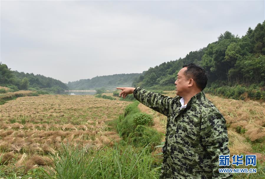 （代表委員履職·圖文互動）（2）“我是農民代表，始終關注農村”——全國人大代表沈昌健的履職故事