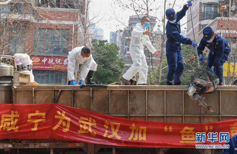 （新華全媒頭條·圖文互動）（12）從人民中汲取磅礴力量——習近平總書記同出席2020年全國兩會人大代表、政協委員共商國是紀實