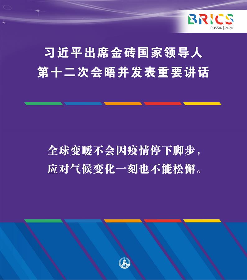 （圖表·海報）［外事］習近平出席金磚國家領導人第十二次會晤并發表重要講話（10）