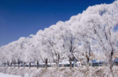 全國初雪時間表出爐 看看你離初雪還有多遠(yuǎn)？