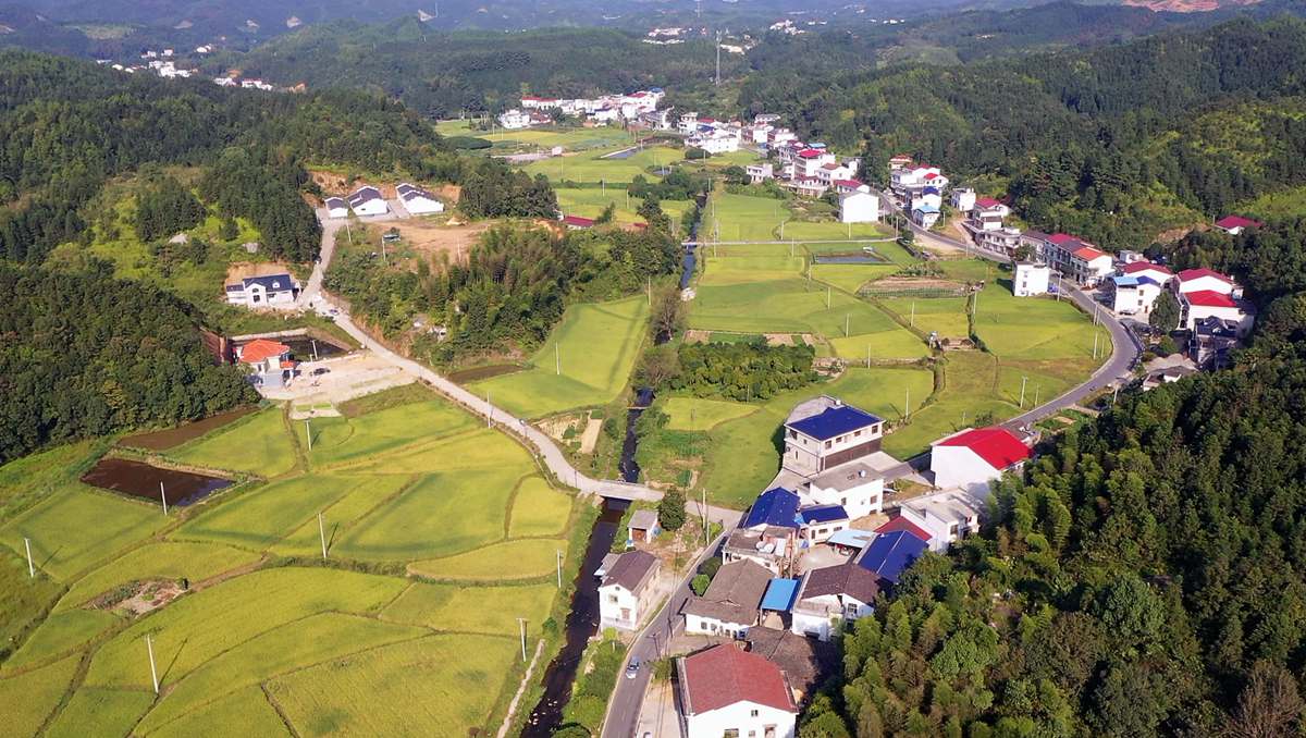 村規民約接地氣 鄉村振興有底氣