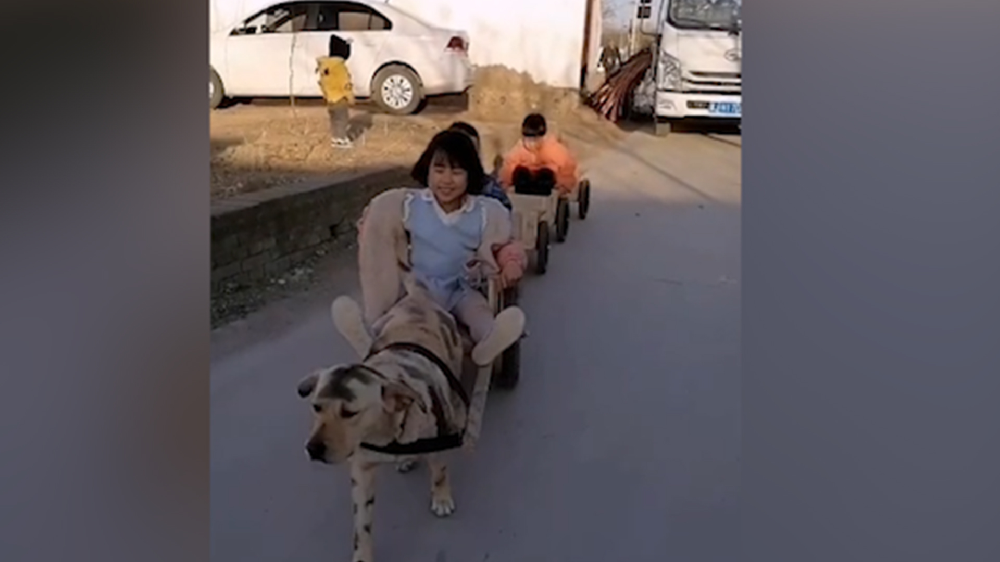 男子給孩子做縮小版小火車，家里的狗狗做動力拉著孩子上學