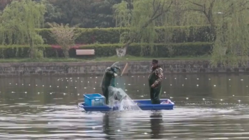 別人家的學校！安師大請師生吃一萬斤魚